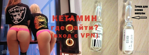 стаф Кедровый