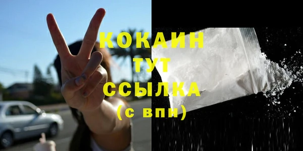 дурь Пестово