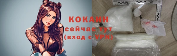 дурь Пестово
