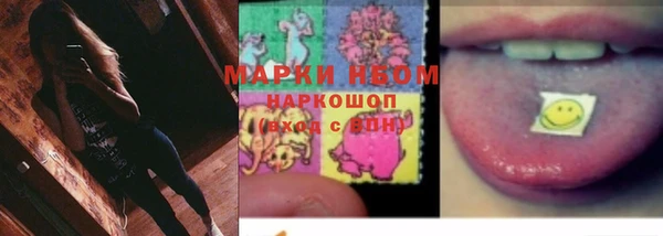 apvp Кемь