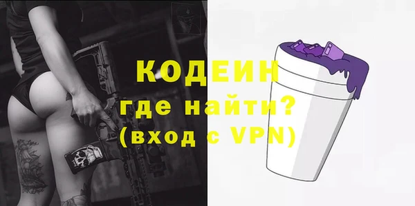 дурь Пестово
