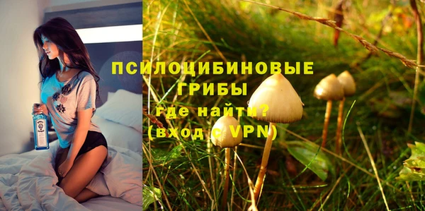 дурь Пестово