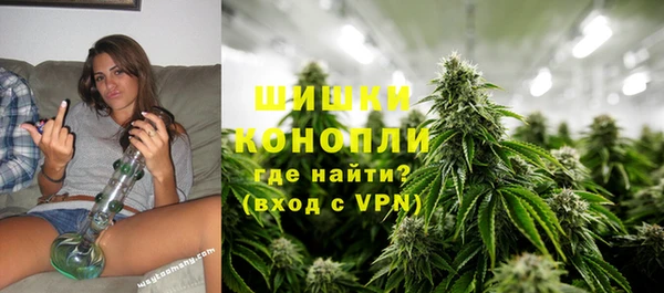 PSILOCYBIN Ельня