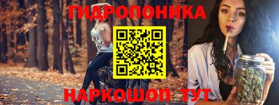 мдпв Кандалакша