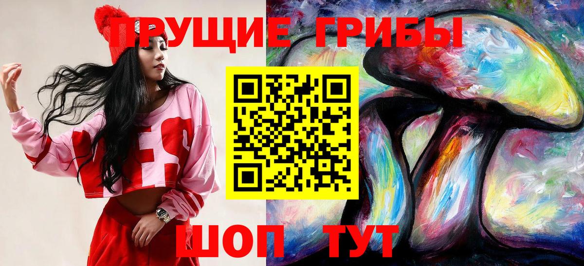 Галлюциногенные грибы Psilocybe Северобайкальск